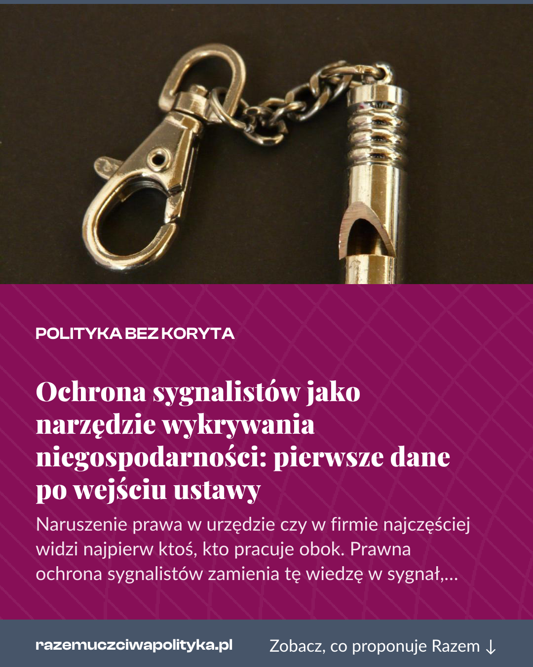 Grafika pionowa do udostępnienia: Ochrona sygnalistów jako narzędzie wykrywania niegospodarności: pierwsze dane po wejściu ustawy